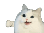 1783384640342.gif