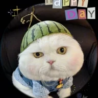 我是你的大魔王